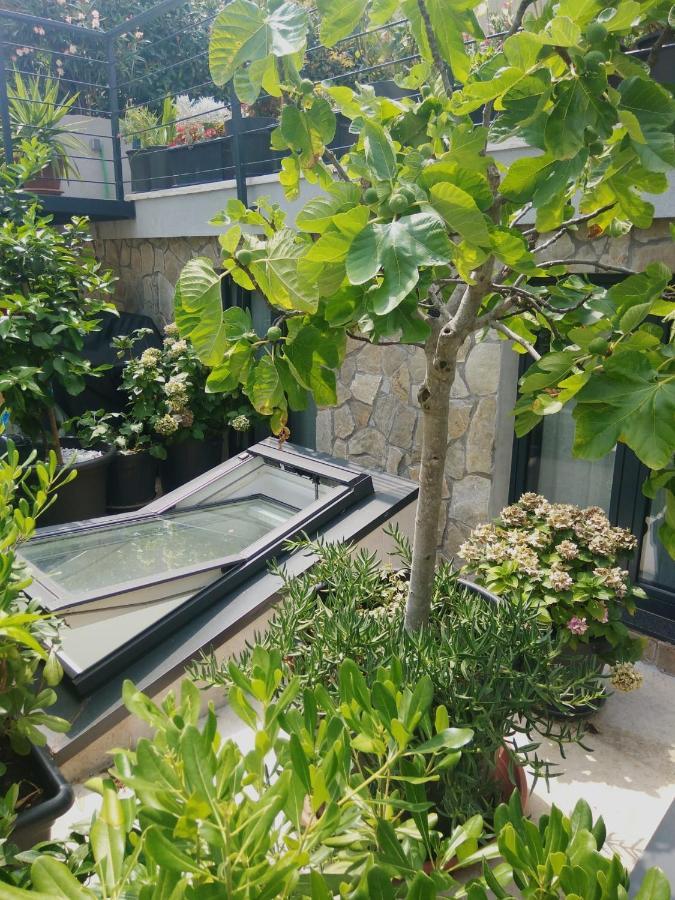 Artspace Location-Opatija-3 Bedroom House With Rooftop Garden By Beach Bagian luar foto